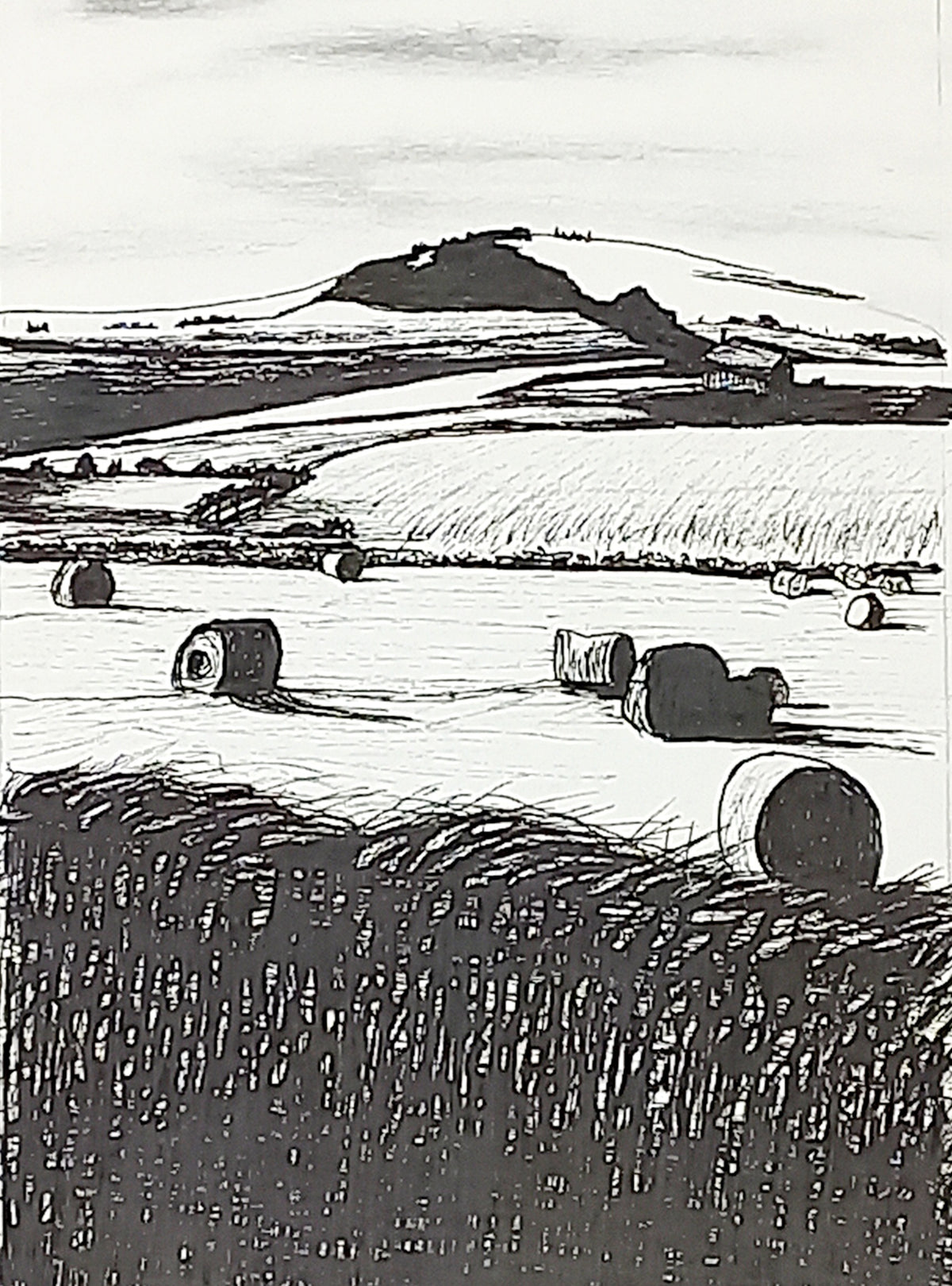 Fine art print by Trevor Whetstone - The Fields Are Ripe For Harvest -
