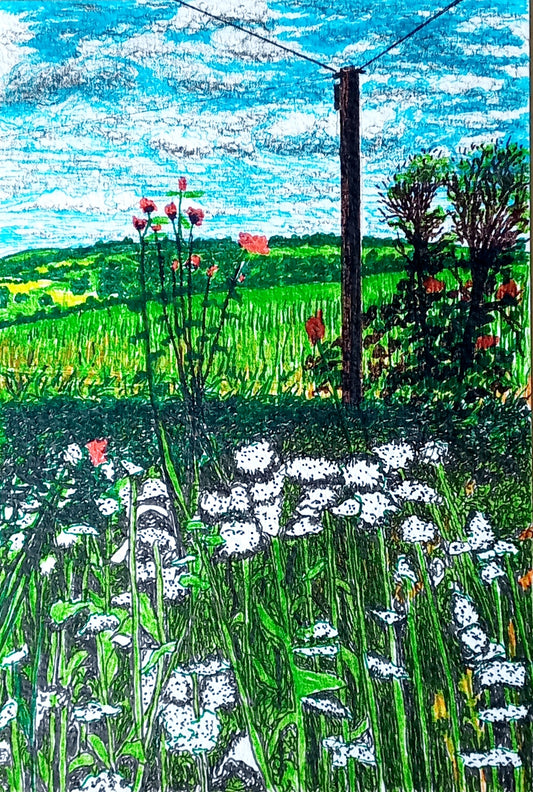 Greetings card by Trevor Whetstone - Mr Platts Garden -