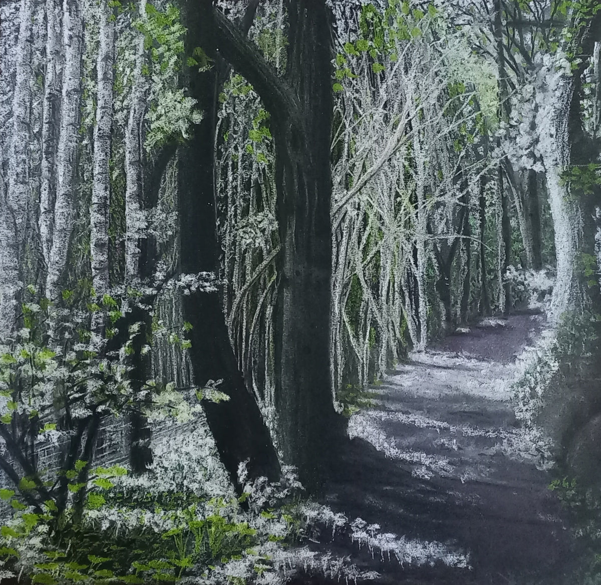 Fine art print of Wear Gifford Woods by Trevor Whetstone