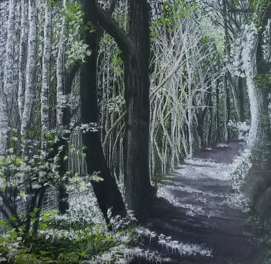 Fine art print of Wear Gifford Woods by Trevor Whetstone