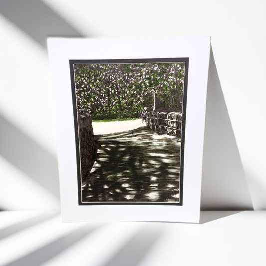 Fine art print by Trevor Whetstone - Meanwood Park - Leeds -