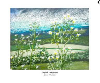 Fine art print by Trevor Whetstone - An English Hedgerow -