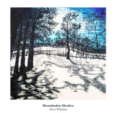 Fine wall art print by Trevor Whetstone -Moonshadow Meadow -